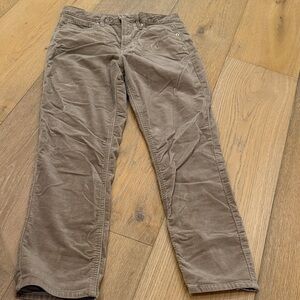 GAP Women's Brown Velvet Stretch Jeans